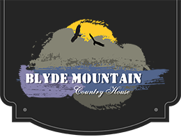 Blyde Mountain Country House  Logo Image